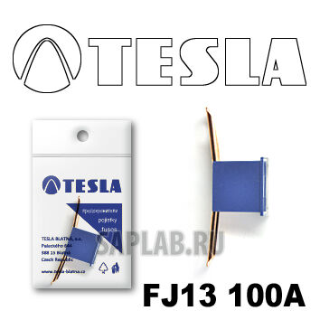 Купить Tesla FJ13100A Предохранитель картриджного типа FJ13 100А