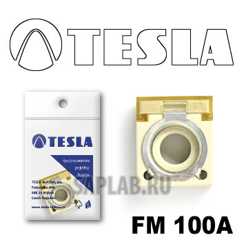 Купить Tesla FM100A Предохранитель компактный FM  100A