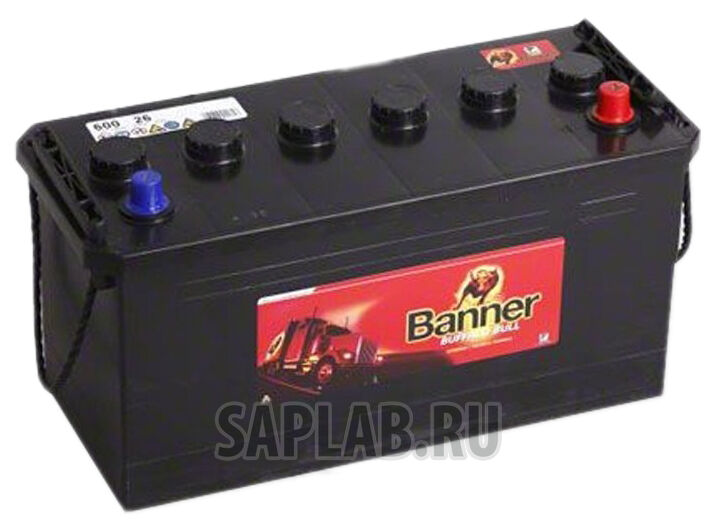 Купить Banner 60026 Buffalo Bull 60026