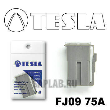 Купить Tesla FJ0975A Предохранитель картриджного типа FJ09 75А