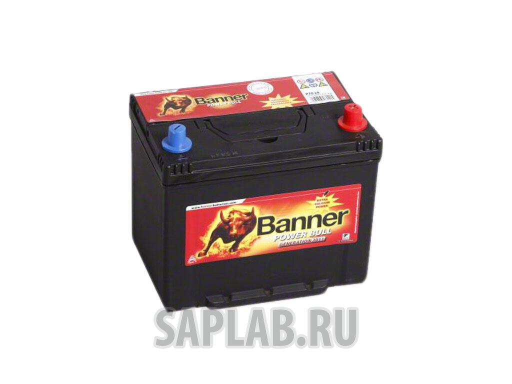 Купить Banner P7029 Power Bull P7029