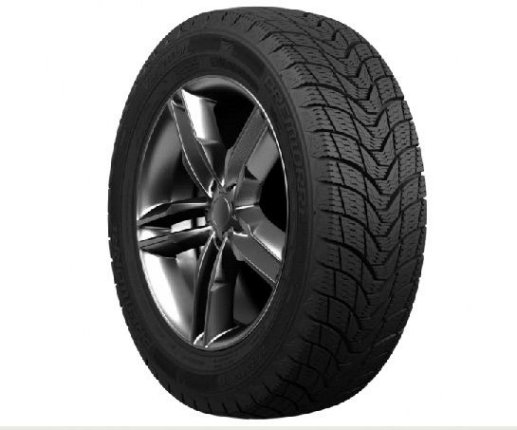 Купить Rosava 412B30681T22110 R15 195/65 Premiorri ViaMaggiore 91T (зима)